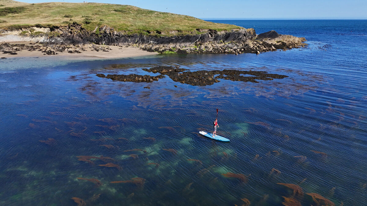 A paddle boarder on the water at Sandycove, Kinsale, Co Cork in July. Picture: Larry Cummins A paddle boarder on the water at Sandycove, Kinsale, Co Cork in July. Picture: Larry Cummins