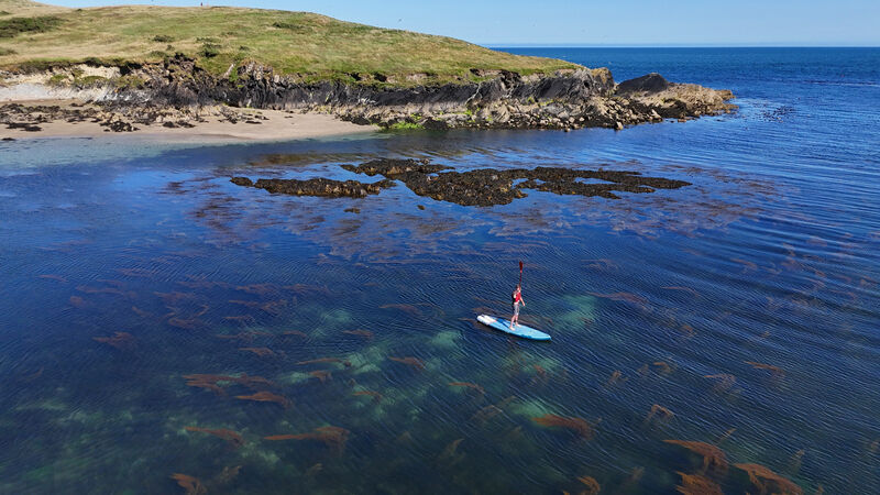 A paddle boarder on the water at Sandycove, Kinsale, Co Cork in July. Picture: Larry Cummins A paddle boarder on the water at Sandycove, Kinsale, Co Cork in July. Picture: Larry Cummins