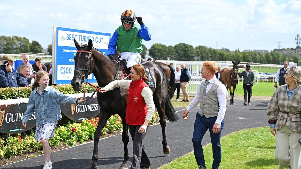 Shadow Paddy makes it three wins in three as favourite storms to victory at Galway Novice Chase