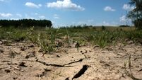 LAND ASSECHEE LOT ET GARONNE