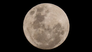 <p>The impact is expected near Einstein Crater on the Moon’s sunlit western limb (AP)</p>