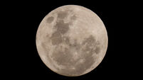 SpaceX Moon Crash