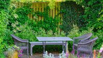 Charming Danish garden with furniture and lush vegetation on a tranquil sunny day
