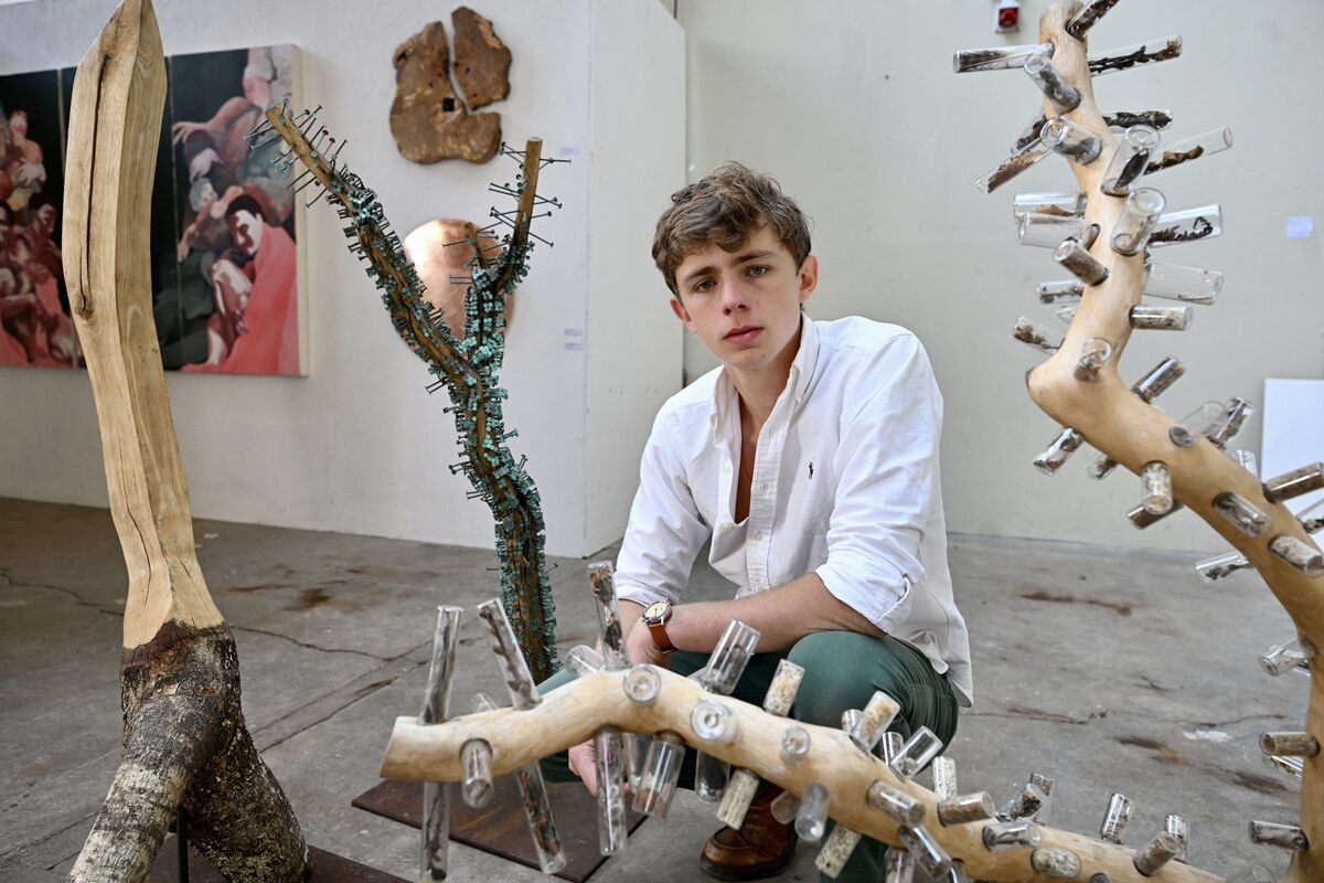 Three of the five items being exhibited in Skibbereen by sculptor Murrough O’Donovan are from his series ‘Navigating the forest — the Somme Oak’. Picture: Larry Cummins Three of the five items being exhibited in Skibbereen by sculptor Murrough O’Donovan are from his series ‘Navigating the forest — the Somme Oak’. Picture: Larry Cummins