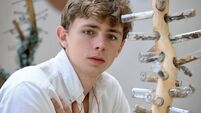 Somme oak inspires West Cork artist's moving sculptures at Skibbereen Arts Festival