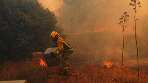 A firefighter moves beehives away from flames while battling a wildfire west of Madrid, Spain (Manu Fernandez/AP) A firefighter moves beehives away from flames while battling a wildfire west of Madrid, Spain (Manu Fernandez/AP)