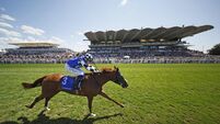 Dylan Browne McMonagle shines with Goodwood double