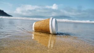 <p>Each year, Ireland dumps 200 million single-use cups, that could be replaced by reusable cups in the morning. Picture: iStock</p>
