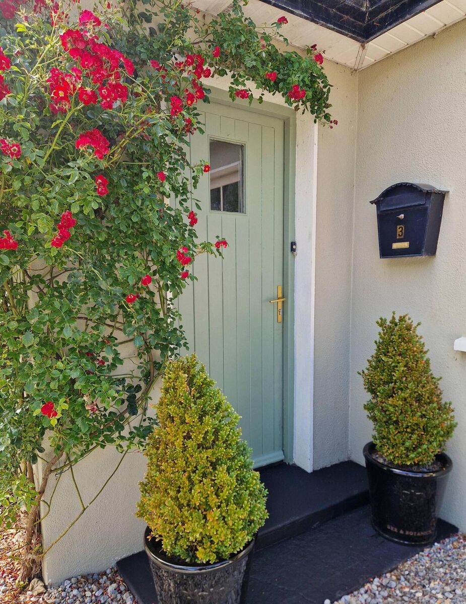 Aileen's front door is painted in Shabby Cilantro and her house in Willowbrook, both Fleetwood.