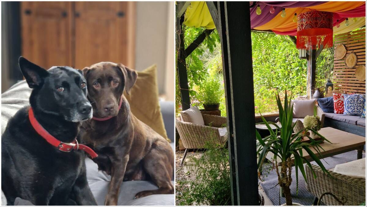 Rescue dogs Charlie and Biscuit love to perch on the sofa in the living area. Right: Aileen's favourite outdoor spot.