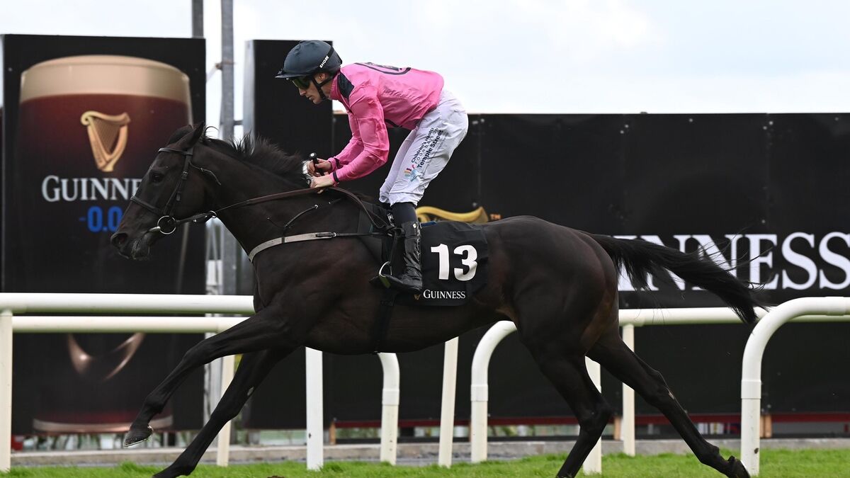 More Mullins magic as trainer grabs another fine double