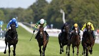 Qatar Goodwood Festival 2026 - Day Five