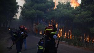 Firefighters operate near a burning forest during a wildfire near Porto Germeno in Greece (Michael Varaklas/AP) Firefighters operate near a burning forest during a wildfire near Porto Germeno in Greece (Michael Varaklas/AP)