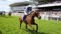 Galway Races Summer Festival 2026 - Day Six