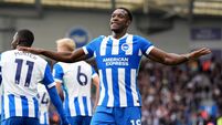 Brighton and Hove Albion v Newcastle United - Premier League - American Express Stadium