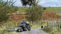 Farm worker on a quad bike with his sheepdog