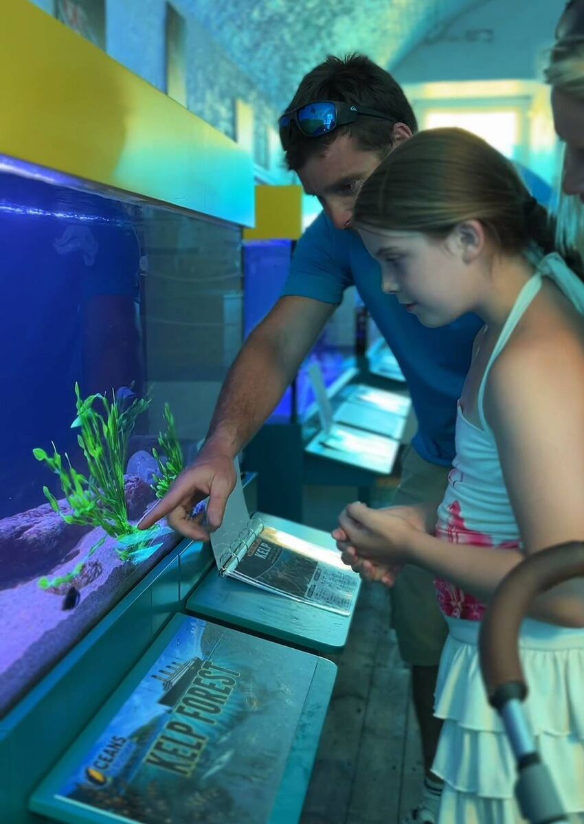 Looking into the aquarium at the Oceans of Discovery marine centre at Fort Camden, Cork Looking into the aquarium at the Oceans of Discovery marine centre at Fort Camden, Cork