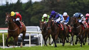 <p>PULLING CLEAR: Dunum and Billy Lee win the Ahonoora Handicap for trainer Natalia Lupini. Picture: Healy Racing</p> <p>PULLING CLEAR: Dunum and Billy Lee win the Ahonoora Handicap for trainer Natalia Lupini. Picture: Healy Racing</p>