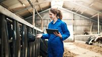 iStock-1185843579.jpg Farmers do it digitally these days