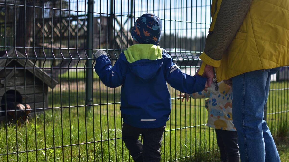 Julie Jay: Don’t feed the animals at the zoo unless the animals are your children