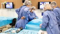 Medical students learning how to perform an autopsy during practical class