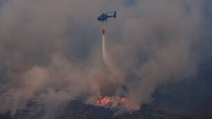 <p>A wildfire in Killarney National Park last week. Heatwaves, wildfires and floods are again hitting populations around the globe and in Ireland. Photo: Valerie O'Sullivan/NPWS</p>