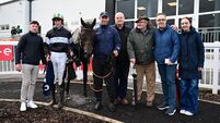 Tumbling In and Kilkee Bay can make Roscommon a successful trip for Eric McNamara