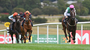 <p>Livenka and Colin Keane win the Irish EBF Ballyhane Stakes at Naas. Pic: Healy Racing Photo</p> <p>Livenka and Colin Keane win the Irish EBF Ballyhane Stakes at Naas. Pic: Healy Racing Photo</p>