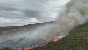 <p>Crews at Dublin Fire Brigade returned to tackle a wildfire on the Dublin Mountains yesterday evening after the blaze reignited. Picture: Dublin Fire Brigade Facebook</p> <p>Crews at Dublin Fire Brigade returned to tackle a wildfire on the Dublin Mountains yesterday evening after the blaze reignited. Picture: Dublin Fire Brigade Facebook</p>