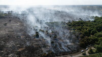 Suffolk coast wildfire