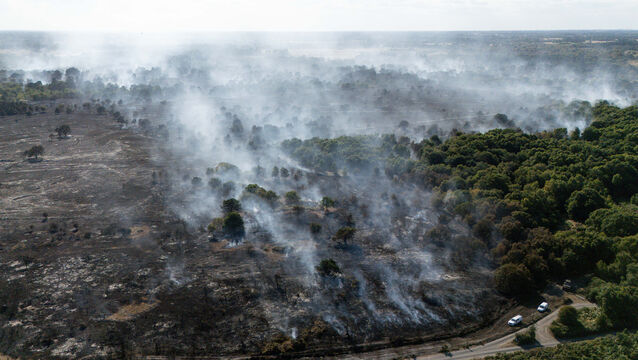<p>Wildfires on lands across Europe are now commonplace. </p>