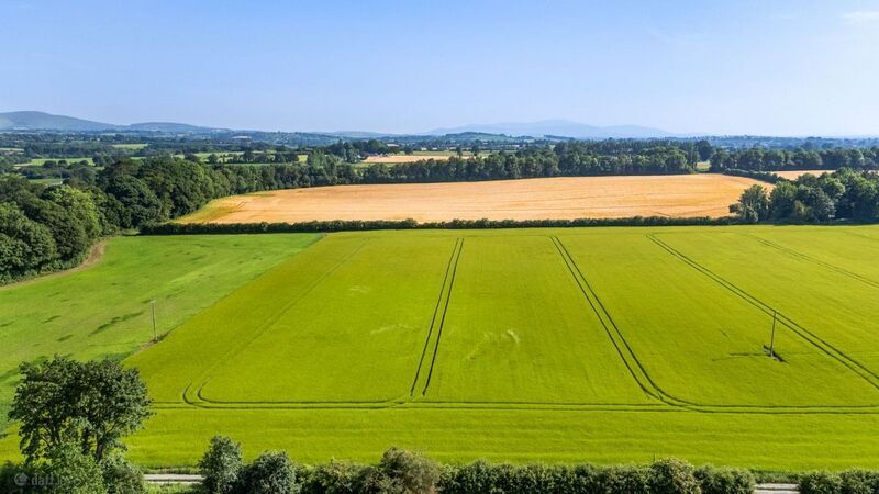View of some of the excellent tillage land at Lisnevagh, Carlow. View of some of the excellent tillage land at Lisnevagh, Carlow.