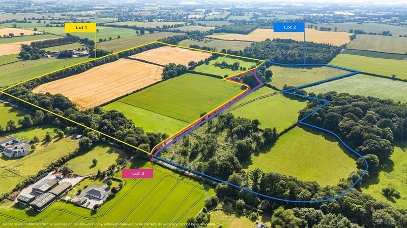 Marked aerial view of the 94-acre holding at Lisnevagh, Carlow. Marked aerial view of the 94-acre holding at Lisnevagh, Carlow.