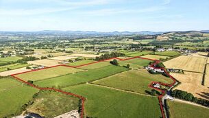 <p>Marked aerial photo of the 46-acre farm for auction at Shesharoe, Portroe, Co. Tipperary.</p> <p>Marked aerial photo of the 46-acre farm for auction at Shesharoe, Portroe, Co. Tipperary.</p>
