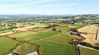 46a Tipp farm for September auction guiding €16k/acre