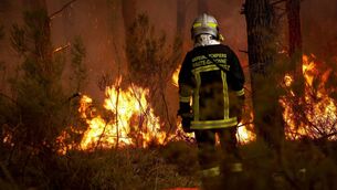 <p>The vegetable growers association Légumes de France has warned thousands of tonnes of products worth tens of millions of euros had been lost — including salad leaves, carrots, leeks, garlic, and onion — with production on certain crops expected to be halved because of the lack of rain. Picture: Romain Perrocheau / AFP via Getty Images</p> <p>The vegetable growers association Légumes de France has warned thousands of tonnes of products worth tens of millions of euros had been lost — including salad leaves, carrots, leeks, garlic, and onion — with production on certain crops expected to be halved because of the lack of rain. Picture: Romain Perrocheau / AFP via Getty Images</p>