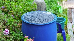 <p>Donal Hickey: "Conservation is set to become a critical priority as we face the prospect of longer, more frequent periods of drought and rising temperatures due to climate change." Picture: iStock.</p> <p>Donal Hickey: "Conservation is set to become a critical priority as we face the prospect of longer, more frequent periods of drought and rising temperatures due to climate change." Picture: iStock.</p>