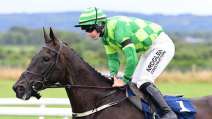 <p>Clay Pigeons and Brian Hayes win the James Lohan Engineering Excellence Maiden Hurdle. Pic: Healy Racing</p> <p>Clay Pigeons and Brian Hayes win the James Lohan Engineering Excellence Maiden Hurdle. Pic: Healy Racing</p>