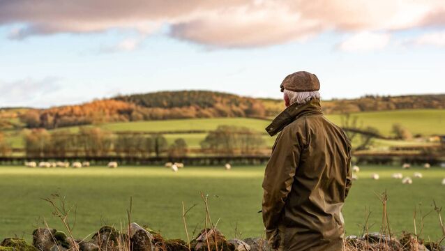 <p>Undoubtedly, farm succession is becoming a major issue for the future of Ireland’s farming sector. Picture: iStock</p>