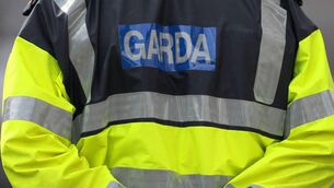 <p>The appellant joined An Garda Síochána in November 2019 and was suspended in August 2020 after the then 23-year-old was accused of raping a 17-year-old girl while off duty. File picture</p>