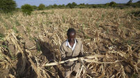 El Niño could push 50 million people into acute hunger before end of next year