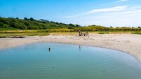 Irish climate policy could cut protein access for 469,000, UCC Teagasc study reveals