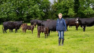 <p>Kay O’Sullivan of Glynn Organic Farm with her herd of cows and calves on her farm near Mallow. Pictures: Chani Anderson</p> <p>Kay O’Sullivan of Glynn Organic Farm with her herd of cows and calves on her farm near Mallow. Pictures: Chani Anderson</p>