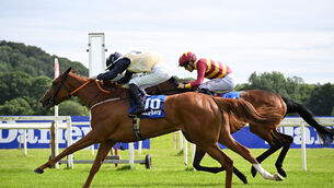 <p>Sparan Nua made it three wins from three starts in the Munster Oaks at Cork. Pic: Healy Racing</p> <p>Sparan Nua made it three wins from three starts in the Munster Oaks at Cork. Pic: Healy Racing</p>