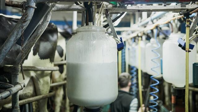 <p>Topping the table for the smallest difference in 2025 to 2026 milk payments are the four West Cork co-ops Lisavaird, Drinagh, Barryroe and Bandon all operating under Carbery Group.</p>