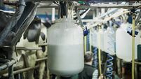Freshly processed milk