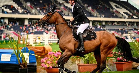 3531459.jpg Gallagher Dublin Horse Show - Day 1