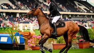 <p>FLYING START: Jordan Coyle competes on Cordiamo in the Laya Arena Stakes during day one of the Gallagher Dublin Horse Show at the RDS. 	Picture:  Shauna Clinton/Sportsfile</p>
