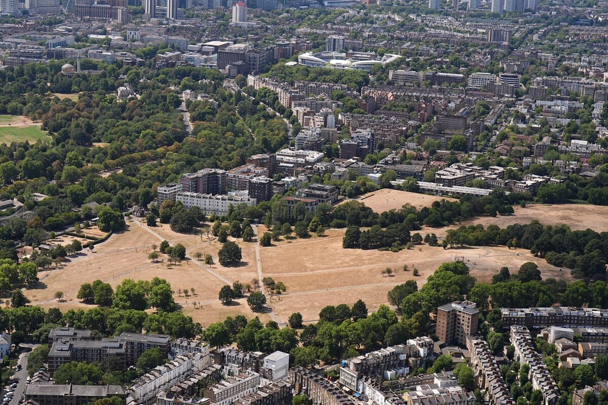 Primrose Hill in north London as the heatwave continues across the country. Picture: Aaron Chown/PA Primrose Hill in north London as the heatwave continues across the country. Picture: Aaron Chown/PA