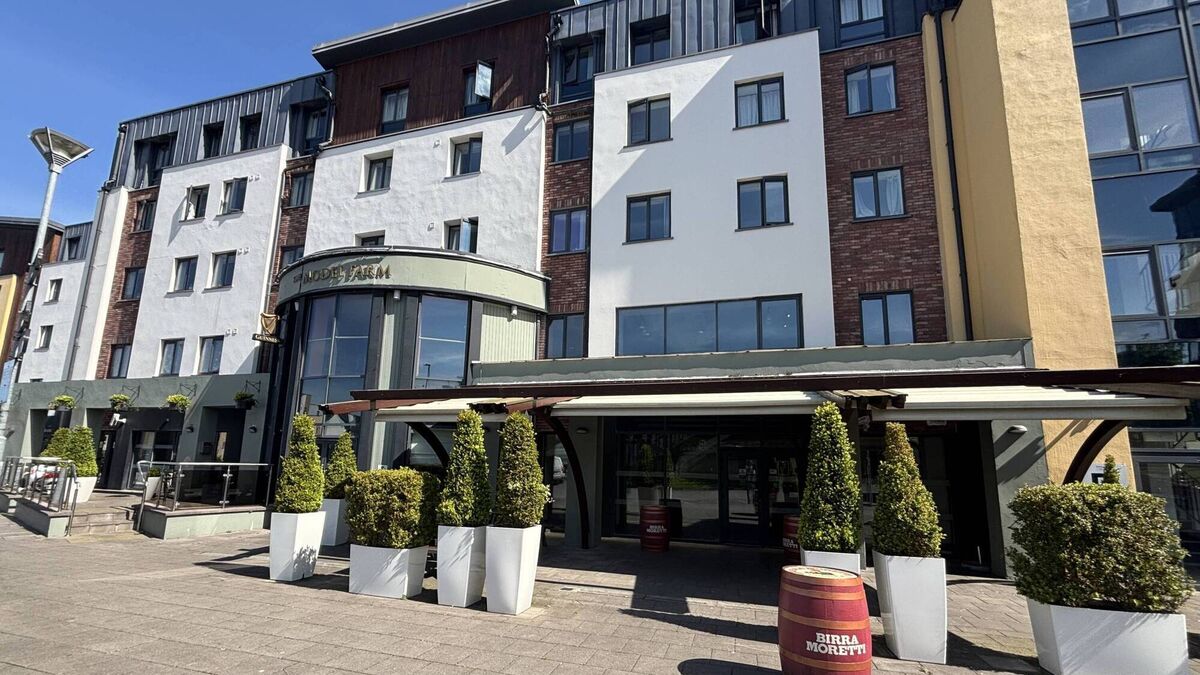 Chinese duo buy Model Farm pub in Cork for €1.1m